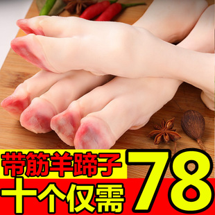内蒙古羊蹄子新鲜带筋羊肉羊脚羊小腿羊爪冷冻火锅烧烤食材生鲜