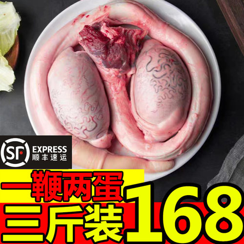 三斤装牛鞭牛宝攒劲套装顺丰发货