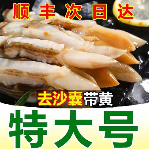 去沙蛏王肉当天现剥顺丰次日达