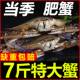 东海梭子蟹新鲜冷冻公蟹当季 捕捞蟹飞蟹白蟹海蟹公蟹母蟹螃蟹批发