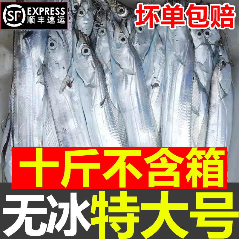 整条带鱼整条特大号带鱼新鲜油刀鱼大带鱼海鱼冷冻进口油带鱼