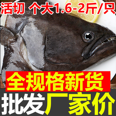 进口格陵兰鲽鱼头深海碟鱼头
