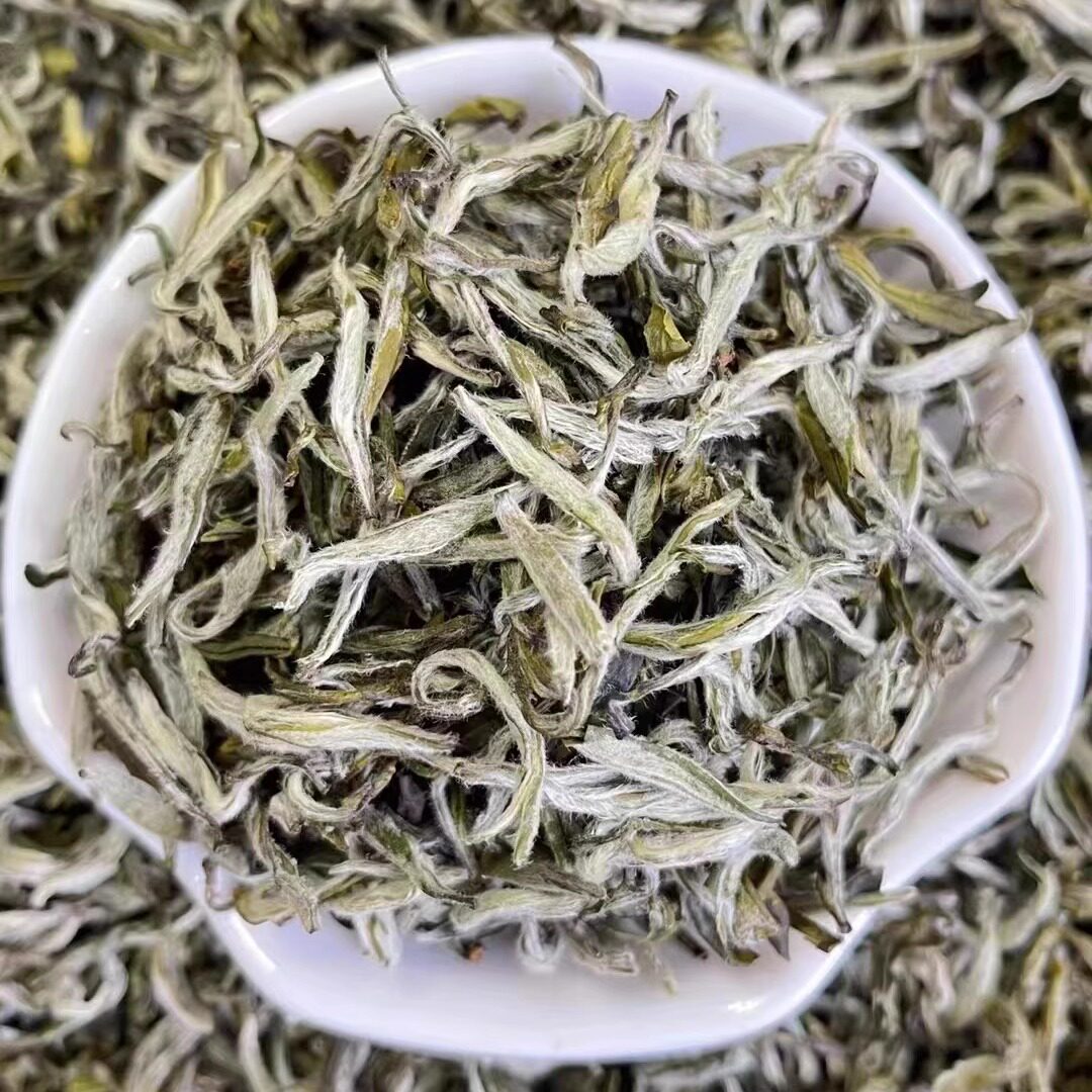 广西横县茶叶茉莉龙豪2023新茶浓香耐泡型特级绿茶礼盒装250g