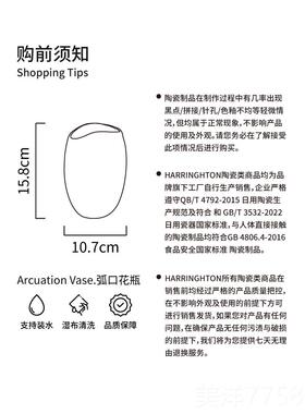 高档赫柠 陶花瓶简约白色插瓶摆件瓷水培花鲜花厅餐桌客家居装饰