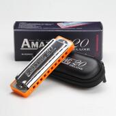 高档孔声蓝口琴10孔AM 十孔布鲁斯儿童成人初学者自高级乐 20D调