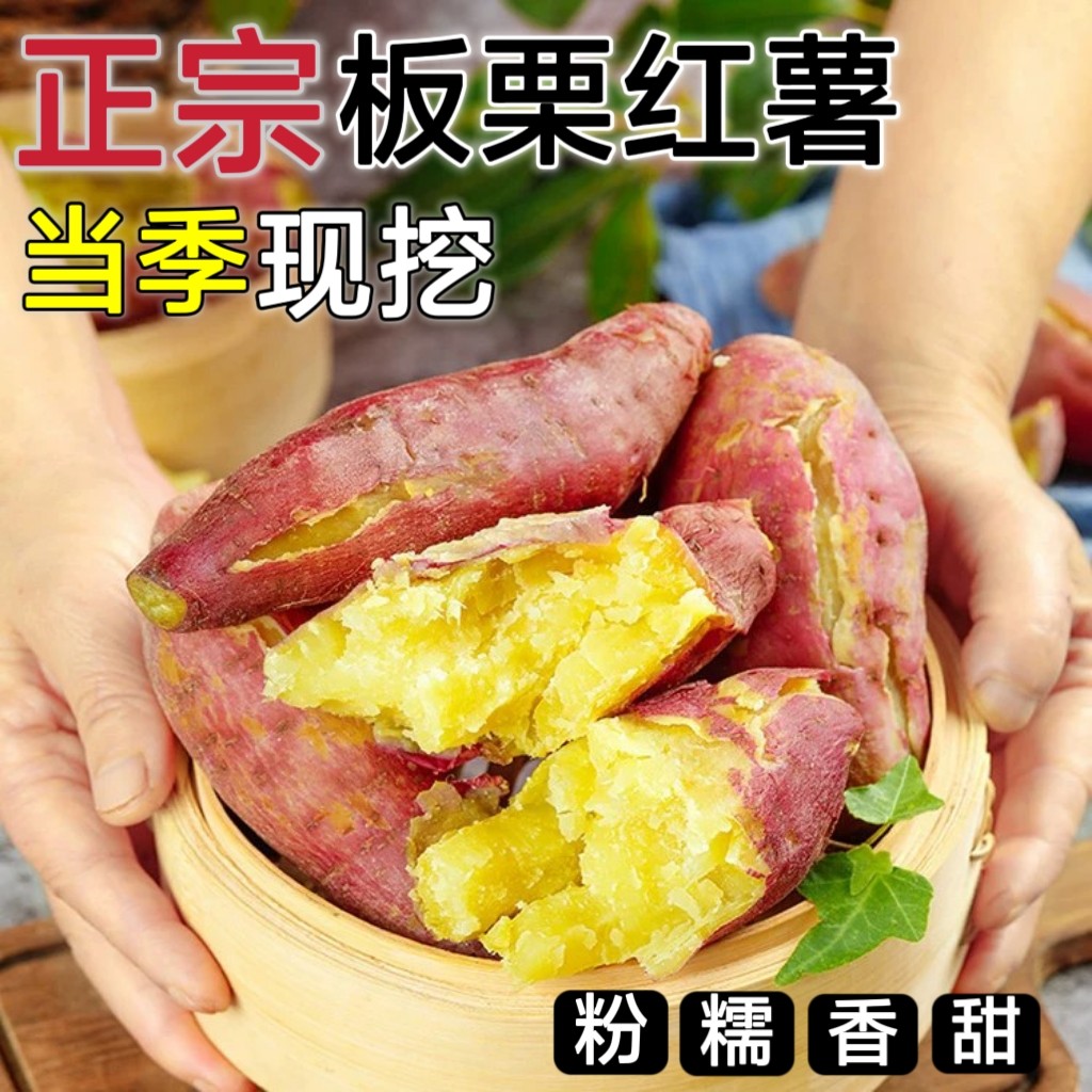 正宗黄心板栗红薯新鲜红薯沙地蜜薯糖心地瓜香薯山芋农家自种现挖