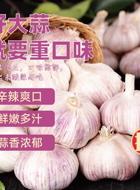 2026年当季紫皮大蒜干蒜
