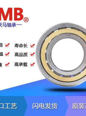 TMB天马钢保NU204 205 206 207 208 209 210H EM铜保圆柱滚子轴承