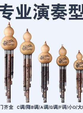 高档然葫芦天丝专c调降b调乐器初学正成人业演奏乐器胡芦丝初学者