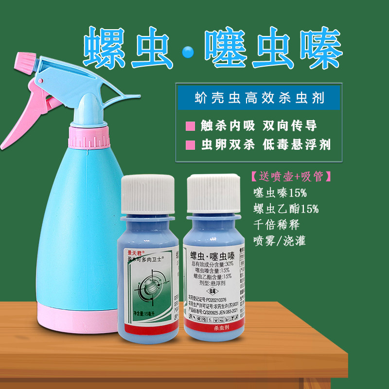 多肉介壳虫卵双杀虫剂螺虫乙酯噻虫嗪蚧必治防除月季绣球小黑飞药