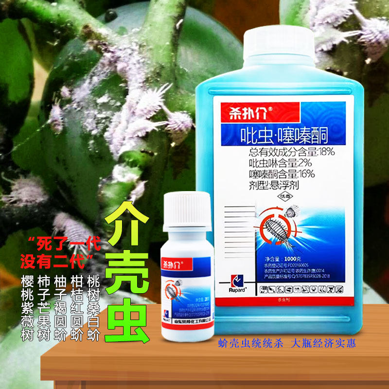 罗汉松蚧壳虫桃树介壳虫柑橘果树苗木蚧必治吡虫噻嗪酮杀扑介杀虫