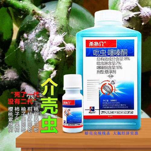 罗汉松桃树柑橘蚧壳虫杀扑杀虫剂