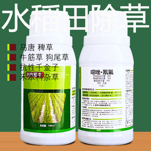 川东氰氟草酯噁唑酰草胺水稻田除尖叶杂草马唐牛筋草稗草狗尾草