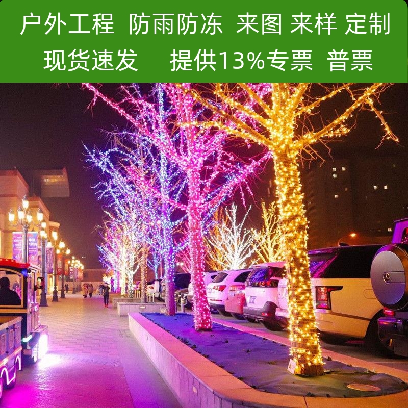 挂树上的彩灯闪灯灯串满天星户外缠树灯led彩灯串耶诞树灯带装饰
