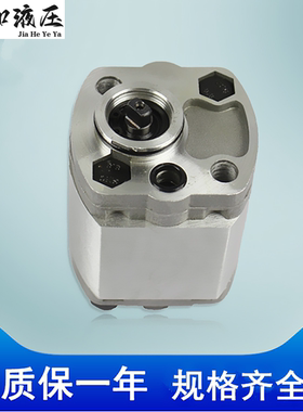 CBK-F210/212/F216/F220/F225/F230/F235/F240微型液压齿轮油泵反
