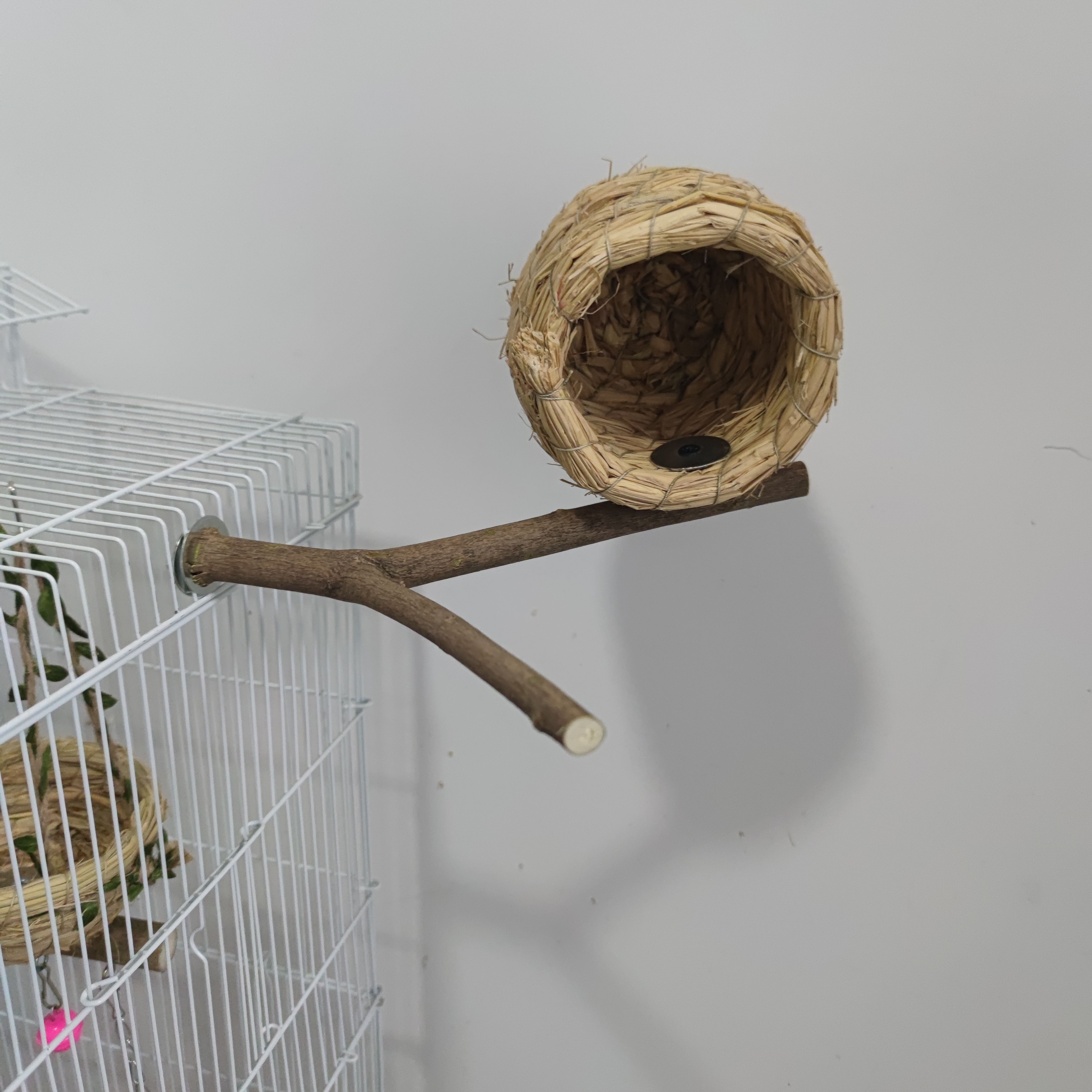 草编树杈鸟窝站架玄凤牡丹鹦鹉珍珠草窝小鸟巢繁殖箱鸟笼造景用品