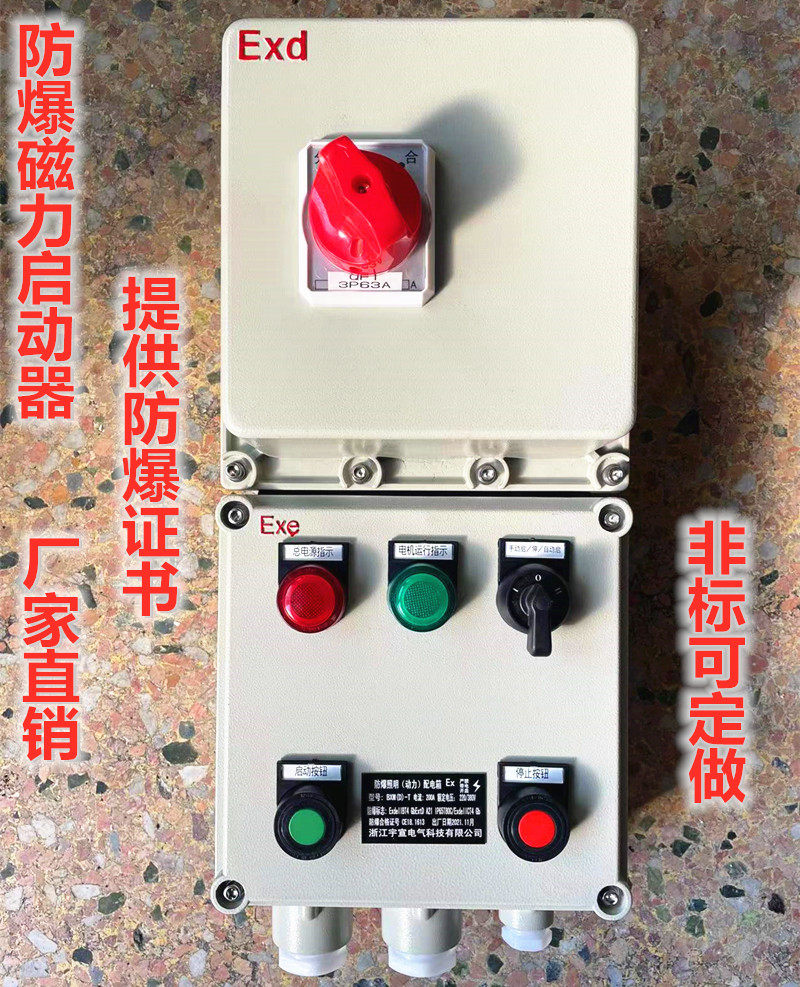 BQ53防爆磁力启动器220V380V三相电机控制箱 水泵风机按钮箱16A