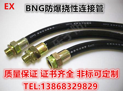 BNG防爆软管 防爆挠性连接管/钢丝管/绕性软管DN15 DN20 DN32等