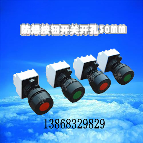 防爆防腐控制按钮开关BA8030/8050/8097 防爆按钮 防爆配电箱按钮