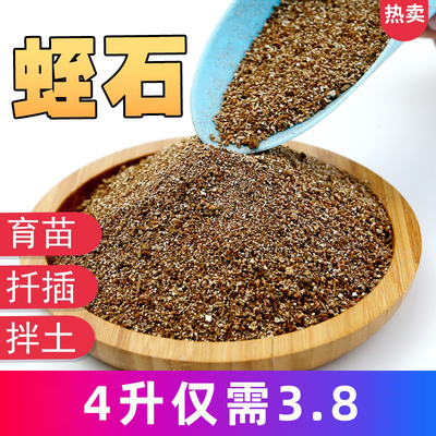 蛭石扦插孵化龟蛇养花育苗月季