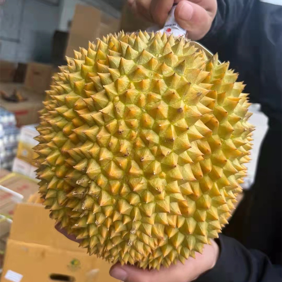 北京当日达 泰国甲仑榴莲 新鲜水果香甜软糯 包4房+怎么样,好用不?
