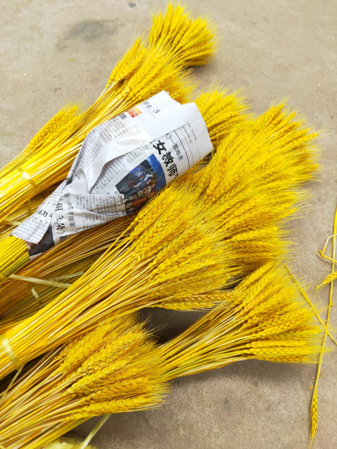 干花小麦真麦穗稻穗麦子黄色花篮大麦单只花艺泡沫摆放橱窗拍花束