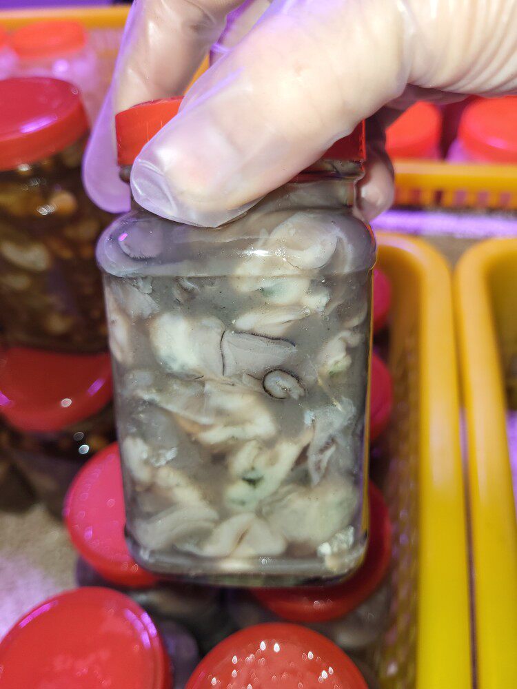 汕尾海丰本港咸蚝仔咸牡蛎蚝仔解 新鲜腌制 450-500克/瓶