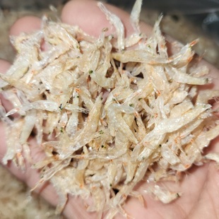 汕尾虾皮淡干无盐虾皮梅虾干宝宝辅食虾苗干补钙淡干虾皮原色