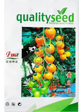 黄贝贝番茄种子水果樱桃小西红柿