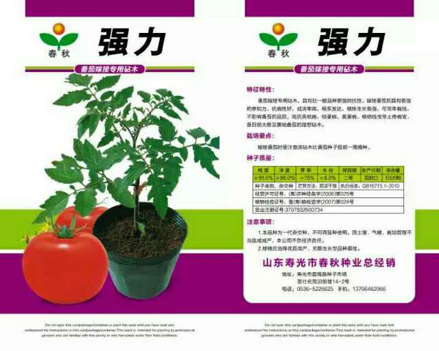 番茄西红柿嫁接专用砧木种子增强抗病性青枯病黄萎病根结线虫砧木