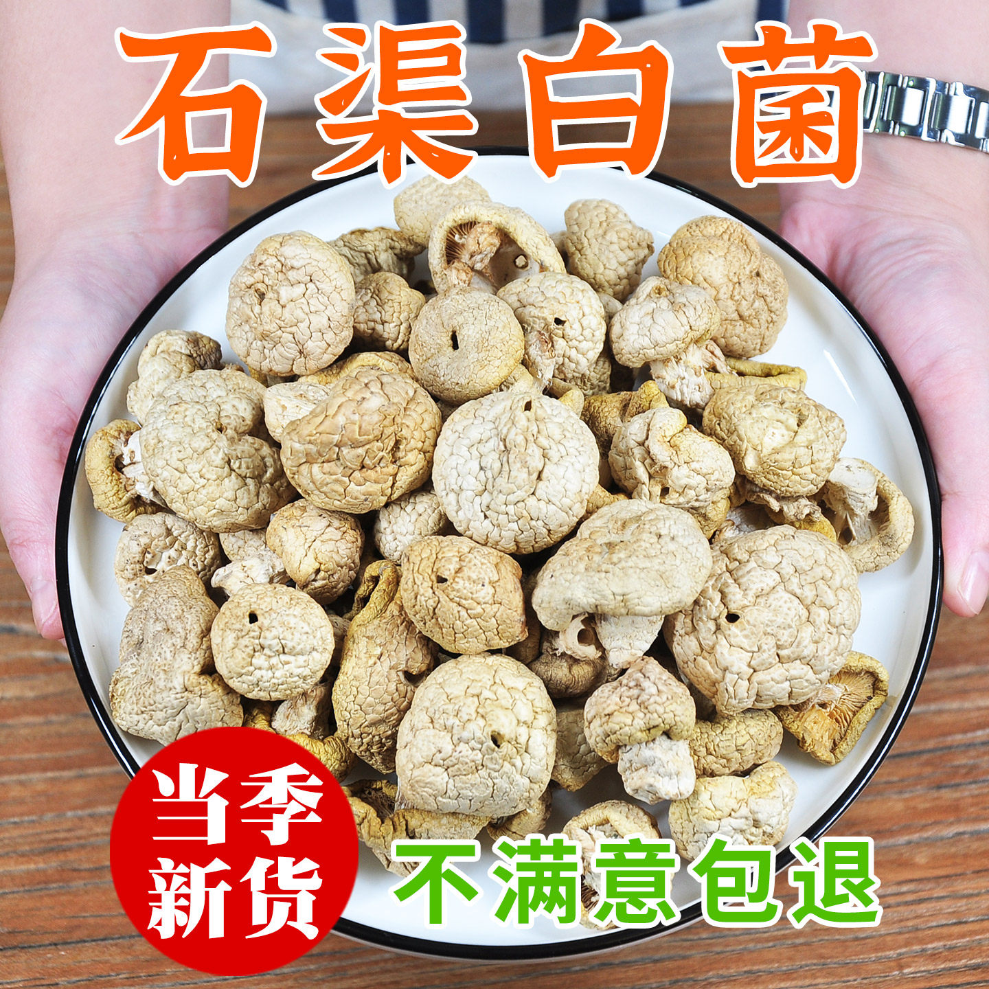 石渠白菌高原藏区特产100克礼盒