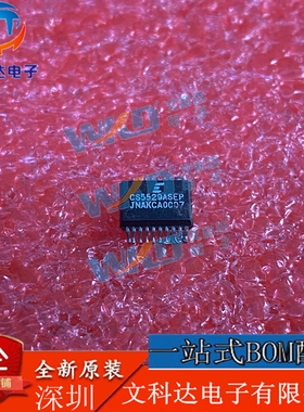 CS5529ASEP CIRRUS  1 SSOP20