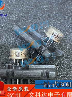 LM107H NS 03+ 51 CAN8