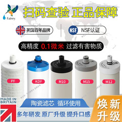 道尔顿净水器滤芯2504 9504 5504适用 飞力KDF M12 M15 M10PF滤芯