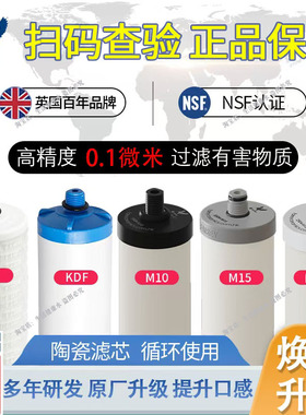 道尔顿净水器滤芯2504 9504 5504适用 飞力KDF M12 M15 M10PF滤芯