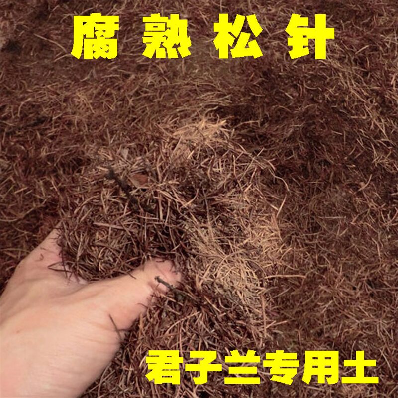 松针土 腐熟松针 腐叶土 酸性透气兰花土绿萝土 君子兰专用营养土在类目 鲜花速递/花卉仿真/绿植园艺, 园艺用品, 家庭园艺肥料/营养土/营养液中 - 来自Buy2taobao.com提供专业的淘宝代购服务