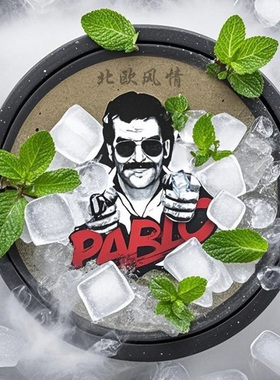 口唇袋PABLO果味薄荷瑞典velo提神高含量戒替槟榔SNUS便携风味袋