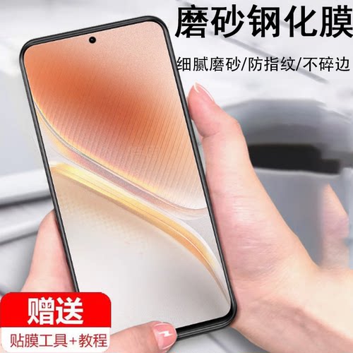 适用iqooneo10pro钢化膜iqoneo磨砂iqoone10iqqoneo010iqoo手机icooneo的iq00neo贴膜igooneo十ioqqneo蓝光膜