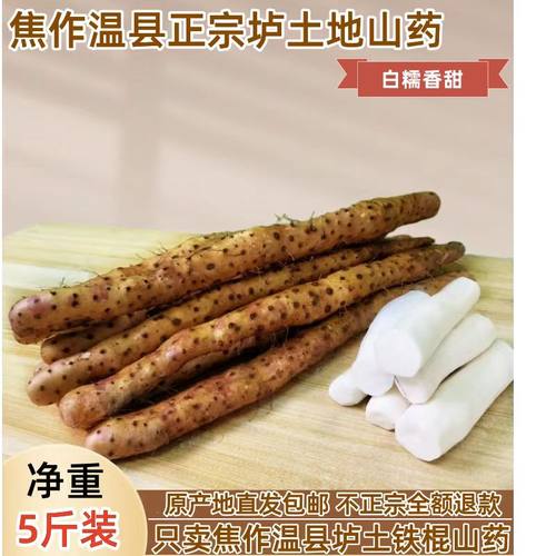 2025年头茬垆土地铁杆正宗新鲜怀铁棍短山药5斤包邮