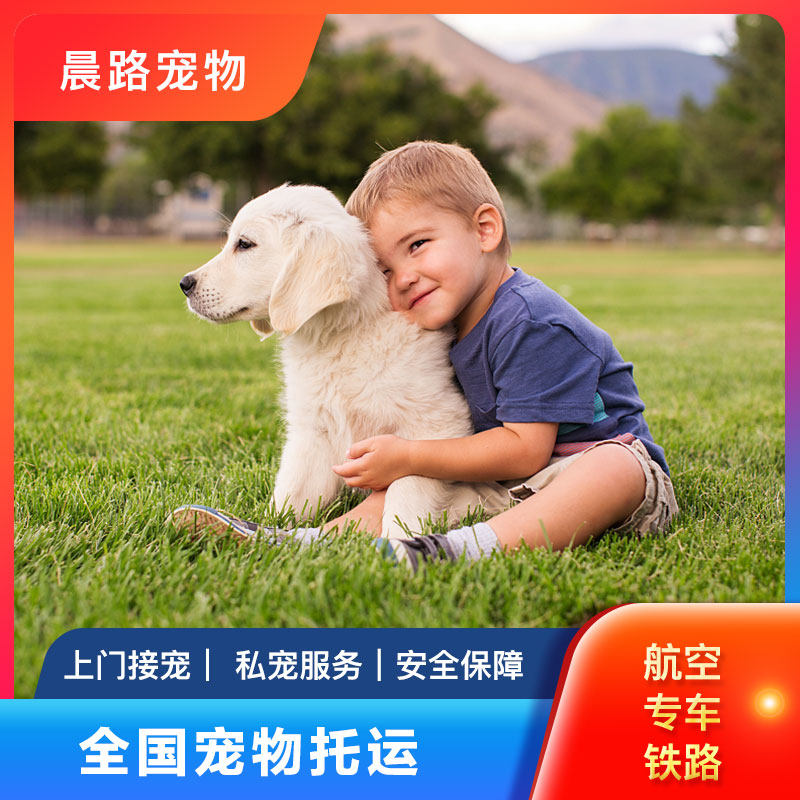 宠物托运服务全国猫狗空运汽运专车火车运输北京上海广州深圳运输