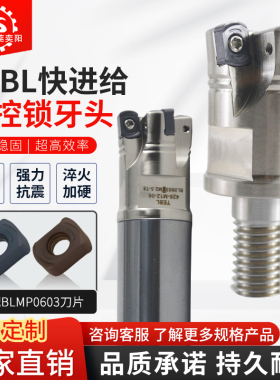 R217.96快进给锁牙刀头重切削抗震双面六角刀片WNMU0404铣刀杆