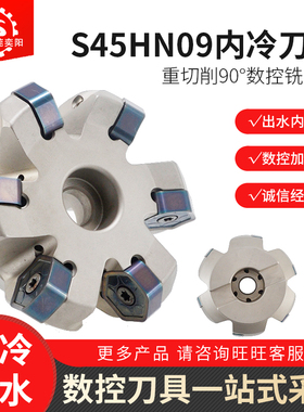 S45HN09平面重切削铣刀盘 HNGX0906刀片45°双面12角替代普拉米特