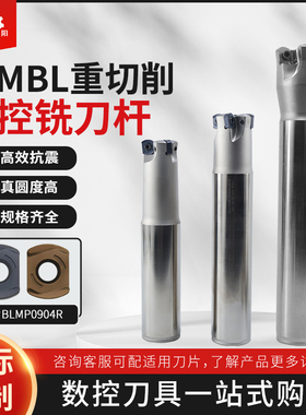 TFMBL09快进给双面铣刀杆 特固克BLMP0603/BLMP00904刀片开粗铣面