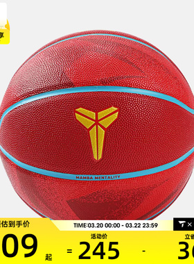 NIKE耐克男女运动篮球N101524261507