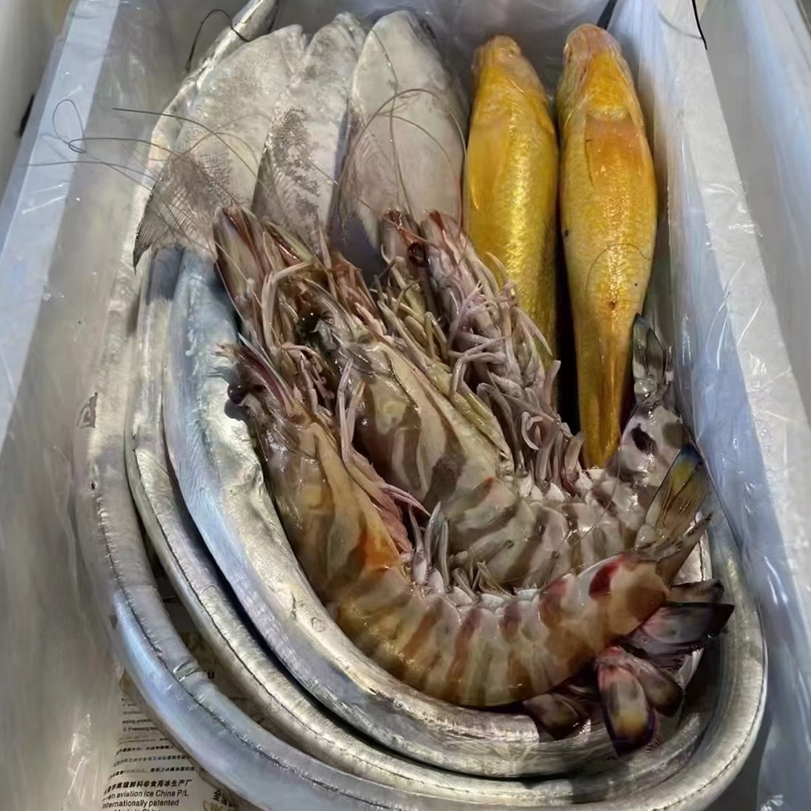 东海新鲜海鲜大礼包套餐自由组合带鱼