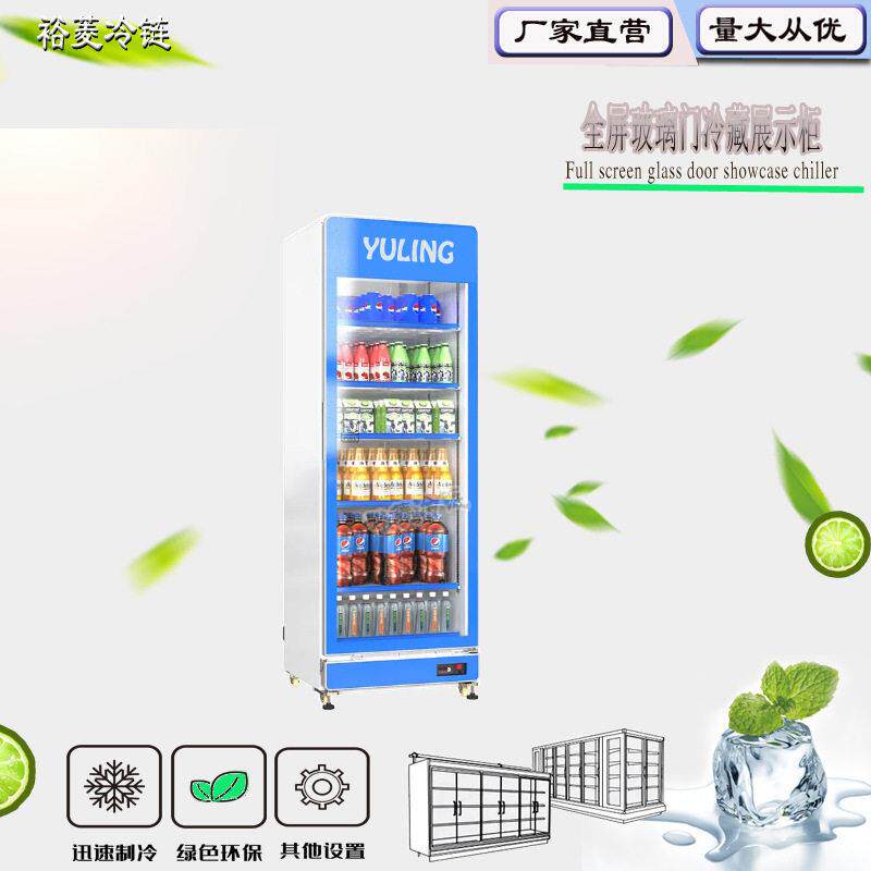 冷藏展示柜全景展示柜保鲜饮料柜冰柜冰箱咖啡馆便利店汽水冰箱