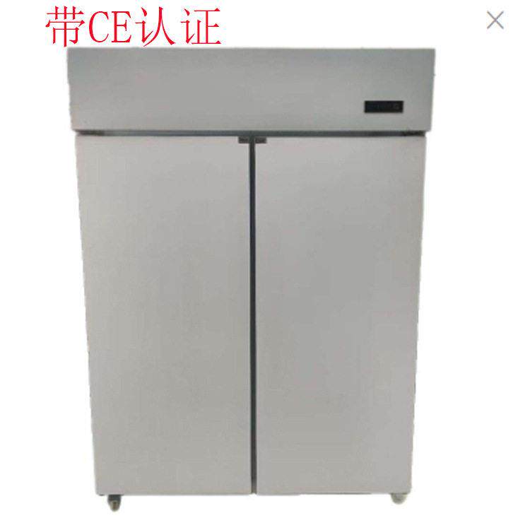 欧式凝冰机双门风冷冷冻柜不锈钢厨房风可不无霜-12~-18度冰柜