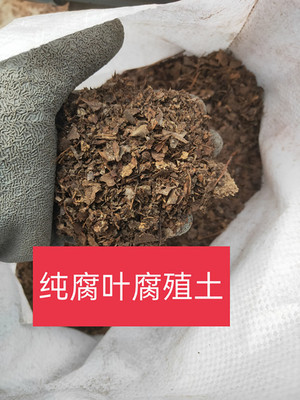 包邮腐熟橡树叶发酵腐叶土多肉蓝莓君子兰火鹤杜鹃长寿花白兰吊篮