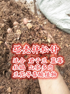 包邮腐熟腐叶土落叶松针土加塔壳土适合喜酸型植物君子兰蓝莓兰花