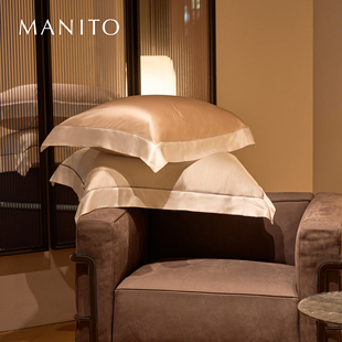 主枕套真丝枕套桑蚕丝床品单件1只装 tone 曼尼陀Two MANITO